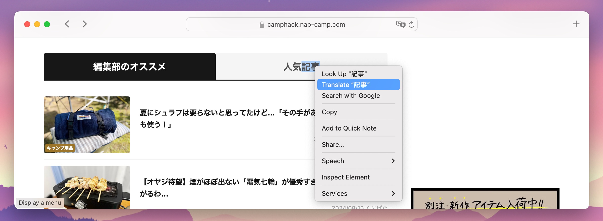 Translate selected text in Safari